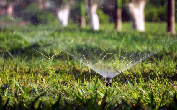 Landscape Irrigation (Sprinkler) Systems over 30 Inspection Report Comments